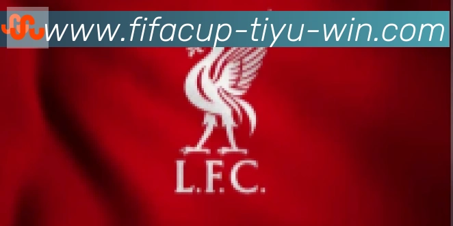 FIFA世界杯下注入口合作伙伴